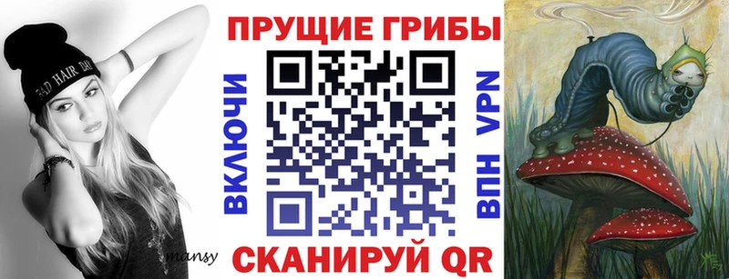 Псилоцибиновые грибы MAGIC MUSHROOMS  хочу наркоту  Протвино 