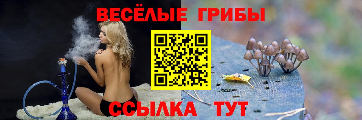 Псилоцибиновые грибы Magic Shrooms Протвино